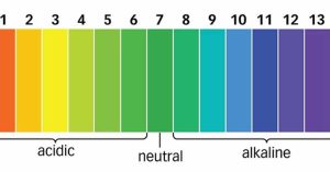 El pH y la Marihuana
