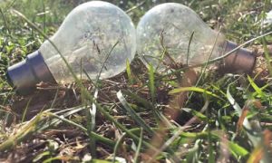 Qué es la Electrocultura