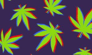 Colores de las Hojas de Cannabis: Significado y Variaciones