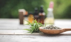 El rol del potasio en la etapa final de floración mitos y realidades