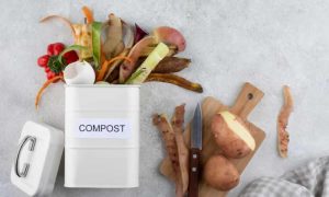 Cómo hacer tu propio biofertilizante con residuos de cocina