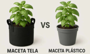 Macetas tela vs plástico