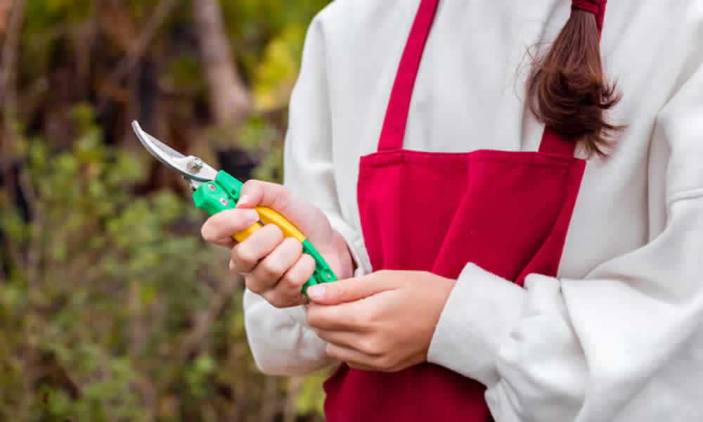 Tijeras siempre afiladas limpieza rápida para cortes limpios